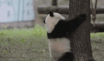 旅行图片