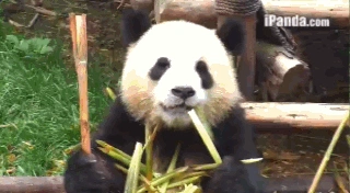 旅行图片