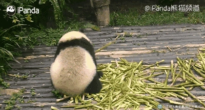 旅行图片