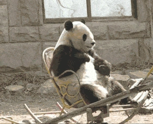旅行图片