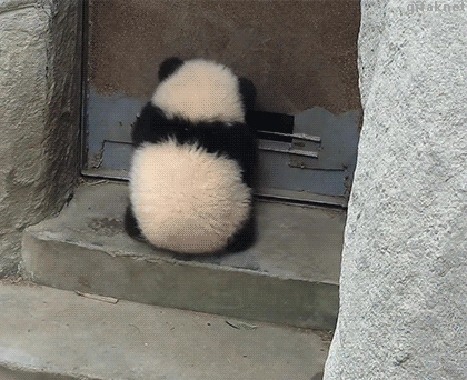 旅行图片
