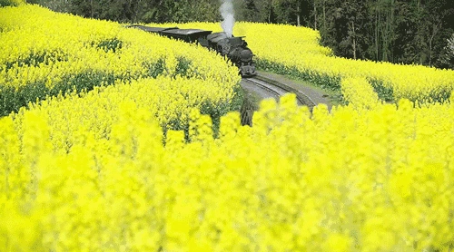 旅行图片