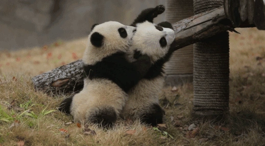 旅行图片