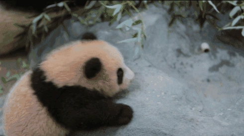 旅行图片